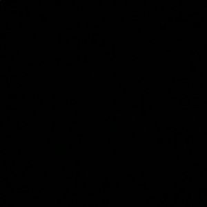 Meet your Posher, Cassandra